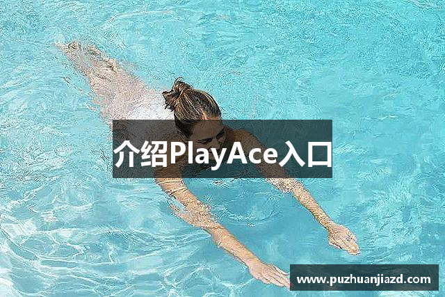 介绍PlayAce入口